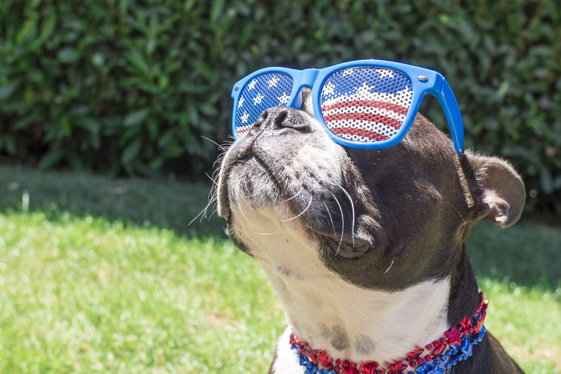 In True American Fashion, Rocketbook is Manufactured in The USA - Rocketbook Australia